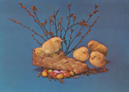 PÂQUES POULET Vintage Carte Postale CPSM #PBO961.FR - Ostern