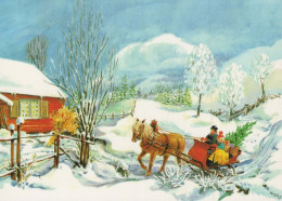 Buon Anno Natale CAVALLO Vintage Cartolina CPSM #PAS933.IT - Neujahr