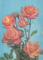 FIORI Vintage Cartolina CPSM #PAR357.IT - Flores