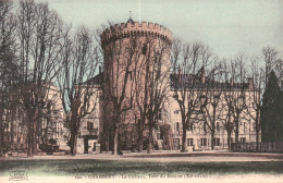 Le Château , Tour Du Donjon - Chambery