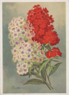 FIORI Vintage Cartolina CPSM #PAR417.IT - Flores
