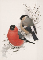 UCCELLO Animale Vintage Cartolina CPSM #PAN405.IT - Pájaros