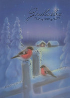 Neujahr Weihnachten VOGEL Vintage Ansichtskarte Postkarte CPSM Unposted #PBA583.DE - Nouvel An