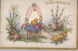 PASQUA POLLO UOVO Vintage Cartolina CPA #PKE411.IT - Pasen