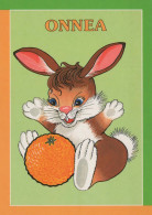 CONIGLIO Animale Vintage Cartolina CPSM #PBR139.IT - Altri & Non Classificati