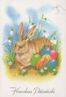 PASQUA CONIGLIO UOVO Vintage Cartolina CPSM #PBO461.IT - Easter