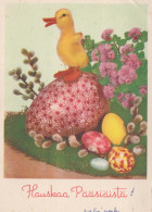 PASQUA UOVO Vintage Cartolina CPSM #PBO207.IT - Pasen