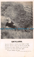 R131458 Skylark. Bamforth - World