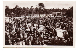 CP - ALGÉRIE - MARCHÉ DANS LE SUD - Scènes & Types