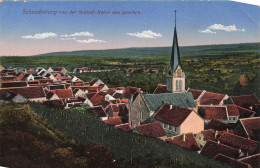 ALLEMAGNE - Schwabsburg No Der SchloB - Ruine Aus Geneshen - Vue D'ensemble - Carte Postale Ancienne - Nierstein