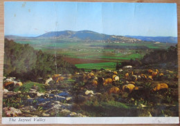 ISRAEL JEZREEL VALLEY MEGIDO RUINS CARD ARCHEOLOGY POSTCARD CARTOLINA PC CPM KARTE PICTURE ANSICHTSKARTE CARD PHOTO - Israël