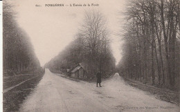 Fougères (35 - Ille Et Vilaine) L'entrée De La Forêt - Fougeres