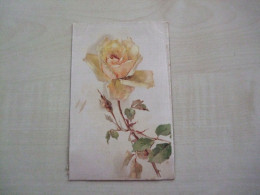 Carte Postale Ancienne 1907 ROSE - Blumen