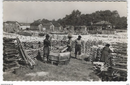 33 - BASSIN D'ARCACHON  ( Gironde )   - Travaux Ostreicoles - Le Chaulage Des Tuiles Dans Le Quartier Des Pecheurs - Arcachon