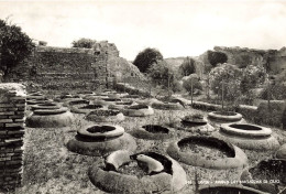 ITALIE - Ostia - Avanzi Dei Magzzini Di Olio - Vue Générale - Carte Postale Ancienne - Andere Monumente & Gebäude