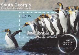 2023 South Georgia Penguins Frozen Planet II Television Souvenir Sheet MNH @ BELOW FACE VALUE - Georgias Del Sur (Islas)