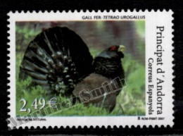 Andorre Espagnole / Spanish Andorra 2007 Yv, 333, Fauna, Birds - MNH - Ongebruikt