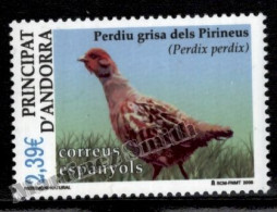 Andorre Espagnole / Spanish Andorra 2006 Yv, 324, Fauna, Birds - MNH - Nuevos