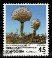 Andorre Espagnole / Spanish Andorra 1991 Yv, 213, Clora, Mushrooms - MNH - Nuevos