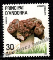 Andorre Espagnole / Spanish Andorra 1985 Yv, 174, Clora, Mushrooms (III) - MNH - Nuevos