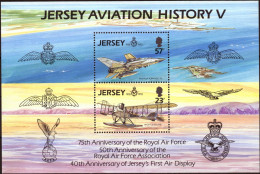 HB Jersey Año 1993 Nuvea Aniversarios Real Fuerza Aérea - Guernsey