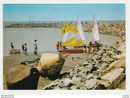 17 CHATELAILLON PLAGE N°4624 Le Port De Plaisance En 1978 Voiliers Chien VOIR DOS - Châtelaillon-Plage