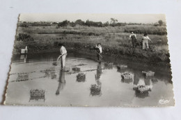 Ostréiculteur En Charente Maritime - La Pêche En Claires - Autres & Non Classés