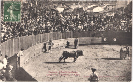 FR66 CERET - Xatard - Course De Taureaux - Corrida - Animée - Belle - Ceret