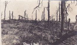 / 59 / - BONDUS SChlosspark Bois Du Vert Carte  Photo Allemande 1° Guerre - Sonstige & Ohne Zuordnung