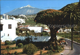 72437574 Icod De Los Vinos Drago Milenario Y Teide Icod De Los Vinos - Autres & Non Classés