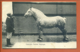 CPA PARIS  - CONCOURS CENTRAL HIPPIQUE  (Concours Agricole 1910) - Présentation Cheval De Trait Boulonnais - Exposiciones