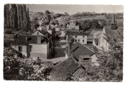 41 LOIR ET CHER - SAINT RIMAY Vue Générale - Otros & Sin Clasificación