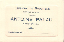 FR66 CERET - Carte De Visite PALAU - Fabrice De Bouchons - Belle - Ceret
