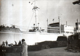 Algérie Oran : Interception Du Cargo Slovenija Qui Contenait 150t D'armes Et De Munitions Le 20 Janvier 1958 - Boats