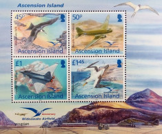 Ascension 2012, 70th Anniversary Of Wideawake Airfield - Birds, MNH S/S - Ascension (Ile De L')