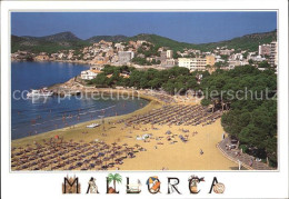 72436030 Mallorca Playa Tora Mallorca - Autres & Non Classés