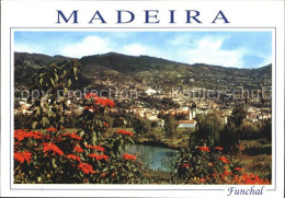 72435679 Madeira Funchal Madeira  - Sonstige & Ohne Zuordnung