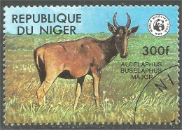 XW01-3107 Niger Gazelle Antilope Antelope - Other & Unclassified