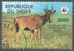 XW01-3106 Niger Gazelle Antilope Antelope - Otros & Sin Clasificación