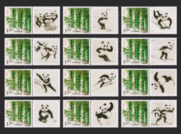 China Personalized Stamp  MNH,Cute And Cute National Treasure Giant Panda Sports Skiing,12v - Neufs