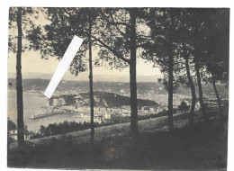 PHOTO ANCIENNE Fin XIXème Siècle NICE ENTRE LES PINS 1894 Alpes Maritimes Provenance NANCY Société Lorraine Photographie - Lieux