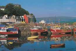 Tobermory Harbour, Isle Of Mull -  Unused   Postcard  - G31 - Andere & Zonder Classificatie