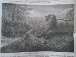 D203434 P288  Old Print  Livingstone -Africa - Lion Hunting    -  Woodcut From A Hungarian Newspaper  1866 - Stiche & Gravuren