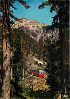 Trains - Corse - La Foret De Vizzavona - Carte Neuve - CPM - Voir Scans Recto-Verso - Eisenbahnen