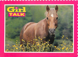 Format Spécial - 150 X 109 Mms - Animaux - Chevaux - Etat Légèrement écornée - Frais Spécifique En Raison Du Format - CP - Chevaux