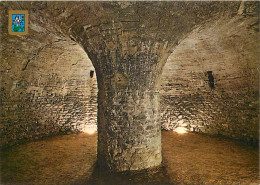 66 - Saint Michel De Cuxa - L'Abbaye - La Crypte Du Pessebre - CPM - Voir Scans Recto-Verso - Other & Unclassified