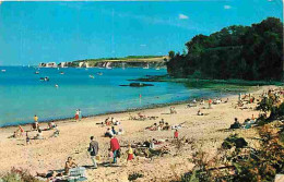 Royaume Uni - Stutland Beach And Bay - Dorset - CPM - UK - Voir Scans Recto-Verso - Otros & Sin Clasificación