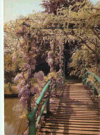 27 - Giverny - La Maison Et Le Jardin De Claude Monet - Le Jardin D'eau - Le Pont Japonais Et La Glycine Mauve - Fleurs  - Other & Unclassified