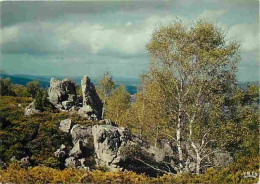 23 - Bourganeuf - Les Rochers De Mazures Aux Environs De Bourganeuf - CPM - Voir Scans Recto-Verso - Bourganeuf