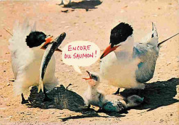 Animaux - Oiseaux - A Définir - Carte Humoristique - CPM - Voir Scans Recto-Verso - Vogels